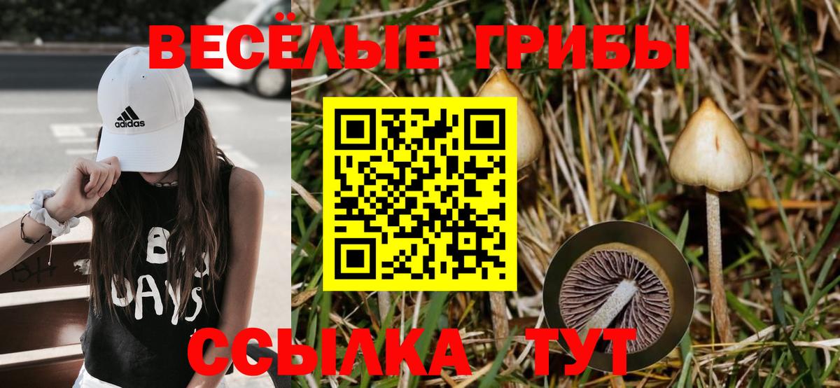 Псилоцибиновые грибы Magic Shrooms  Будённовск 