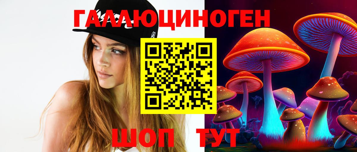 Псилоцибиновые грибы GOLDEN TEACHER Будённовск